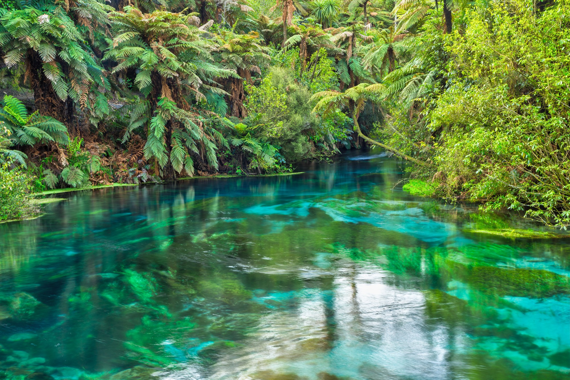 the blue spring